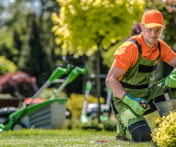 Garden Cleaning Service Dubai