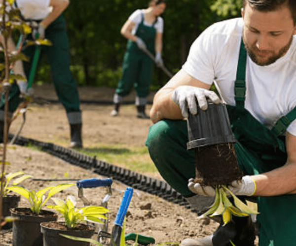 Gardening service in dubai