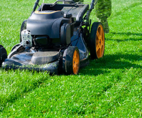 Lawn Mowing Services Dubai