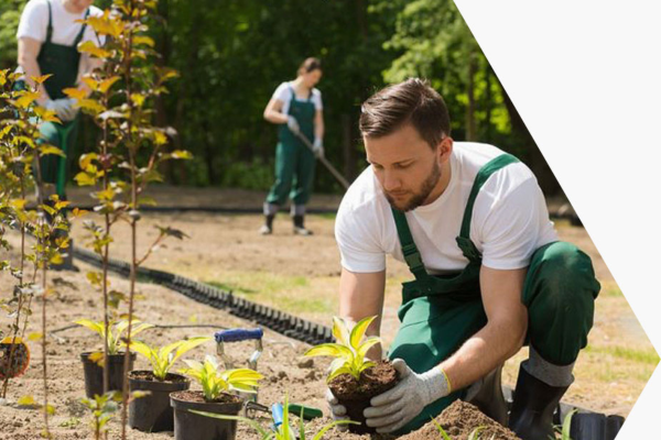 Trusted Gardening Services Dubai