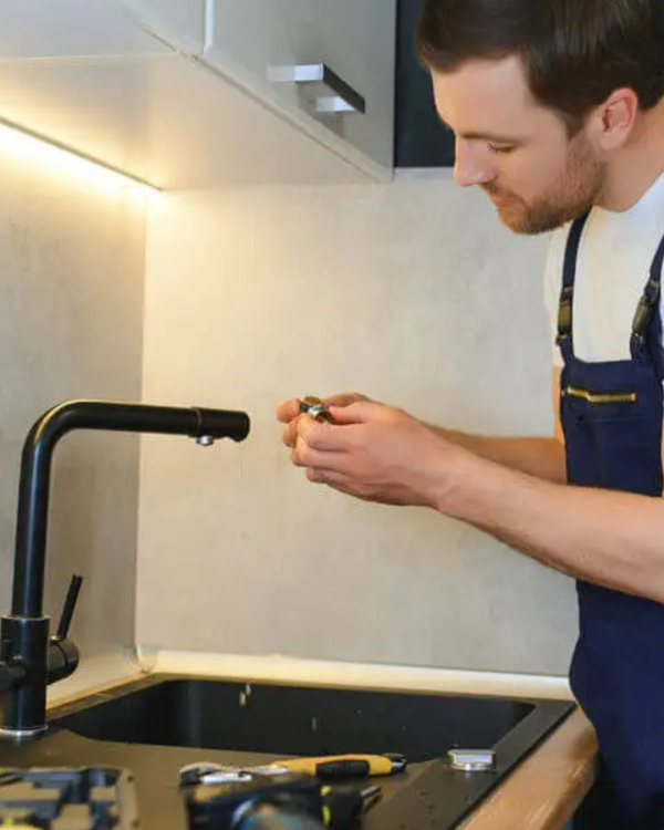 Untitled design (14)