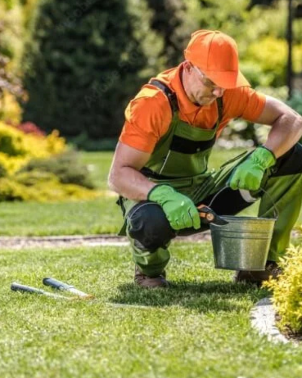 Untitled design (19)